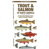 Trout & Salmon of North America, 2nd Ed: An Illustrated Folding Pocket Guide to Familiar Species - Paperback