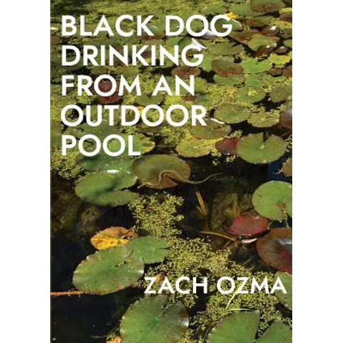 Black Dog Drinking from an Outdoor Pool - Paperback