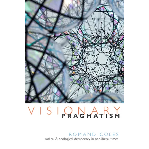 Visionary Pragmatism: Radical and Ecological Democracy in Neoliberal Times - Paperback