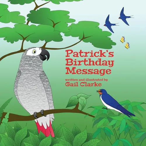 Patrick's Birthday Message - Paperback