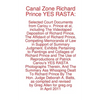 Canal Zone Richard Prince YES RASTA: Selected Court Documents from Cariou v. Prince et al - Paperback