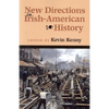 New Directions in Irish-American History - Paperback