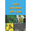 Ants and their Life Cycle - Paperback