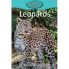 Leopards - Paperback