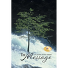 The Message - Paperback