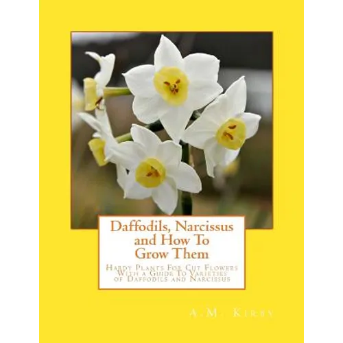 Daffodils, Narcissus and How To Grow Them: Hardy Plants For Cut Flowers With a Guide To Varieties of Daffodils and Narcissus - Paperback
