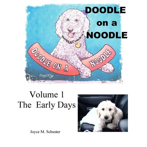 Doodle on a Noodle: VOLUME 1 The Early Days - Paperback