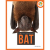 Bat - Paperback