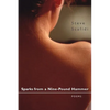 Sparks from a Nine-Pound Hammer: Poems - Paperback
