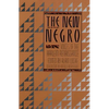 The New Negro - Paperback