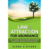 Law of Attraction for Abundance: How to Change Your Relationship with Money to Manifest the Wealth You Truly Desire - Paperback