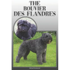 The Bouvier Des Flandres: A Complete and Comprehensive Owners Guide To: Buying, Owning, Health, Grooming, Training, Obedience, Understanding and - Paperback
