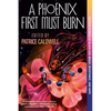 A Phoenix First Must Burn: Sixteen Stories of Black Girl Magic, Resistance, and Hope - Paperback