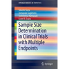 Sample Size Determination in Clinical Trials with Multiple Endpoints - Paperback