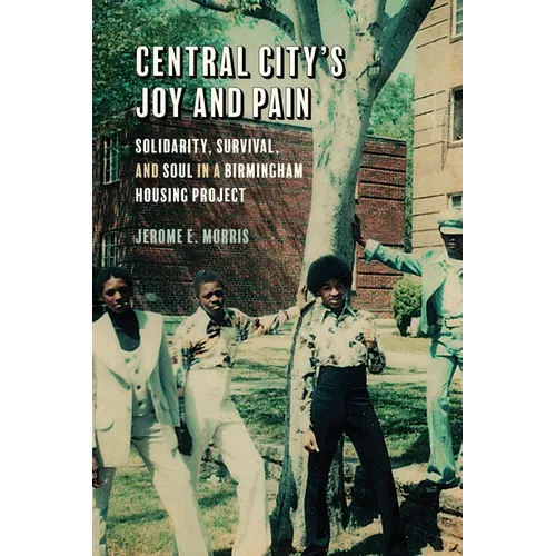 Central City's Joy and Pain: Solidarity, Survival, and Soul in a Birmingham Housing Project - Paperback