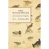 The Wildfowler - A Treatise on Fowling, Ancient and Modern (History of Shooting Series - Wildfowling) - Hardcover
