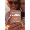 Hollow Gods: Idolatry in a Postmodern Context - Paperback