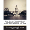 Lower Gwynns Falls/Middle Branch Management Plan Phase I of the Middle Branch Waterfront Plan: Draft - Paperback