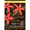 Wildflowers and Plant Communities of the Southern Appalachian Mountains and Piedmont: A Naturalist's Guide to the Carolinas, Virginia, Tennessee, and - Paperback