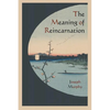 The Meaning of Reincarnation - Paperback