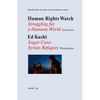 Human Rights Watch: Struggling for a Humane World: Interviews, Ed Kashi: Sugar Cane Syrian Refugees, Photographs - Hardcover