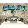 Amazing Facts and Beyond - Hardcover