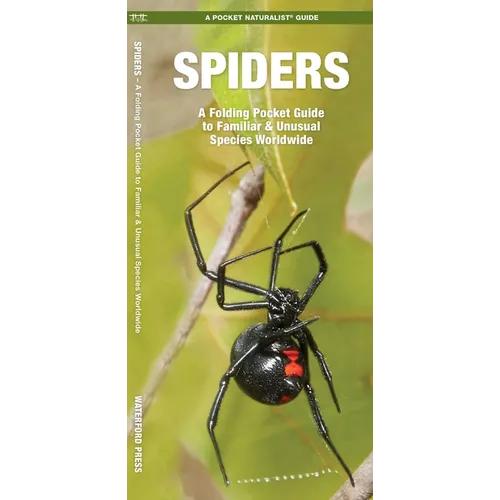 Spiders: A Folding Pocket Guide to Familiar & Unusual Species Worldwide - Paperback