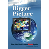 The Bigger Picture: Using God's Word to Expose Satan's Agenda - Paperback