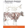 Ruminant Anatomy: A Photo Atlas - Paperback