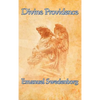 Divine Providence: A Classic Work of Christian Theology on Free Will, Evil, and Divine Order - Hardcover