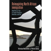 Reimagining North African Immigration: Identities in Flux in French Literature, Television, and Film - Paperback