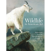 Wildlife in American Art: Masterworks from the National Museum of Wildlife Art - Paperback