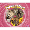 Hibernation - Paperback