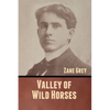Valley of Wild Horses - Paperback