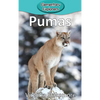 Pumas - Hardcover