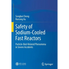 Safety of Sodium-Cooled Fast Reactors: Particle-Bed-Related Phenomena in Severe Accidents - Paperback
