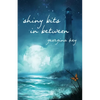 Shiny Bits in Between - Paperback
