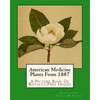 American Medicine Plants From 1887: A Picture Book Of Royalty-Free Images - Paperback
