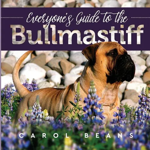 Everyone's Guide to the Bullmastiff - Paperback