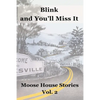 Blink and You'll Miss It: Moose House Stories Volume 2 - Paperback