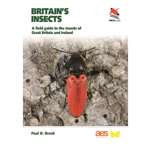 Britain's Insects: A Field Guide to the Insects of Great Britain and Ireland - Paperback