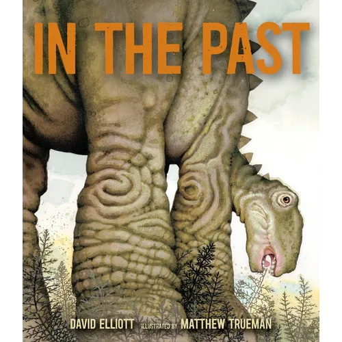In the Past: From Trilobites to Dinosaurs to Mammoths in More Than 500 Million Years - Hardcover