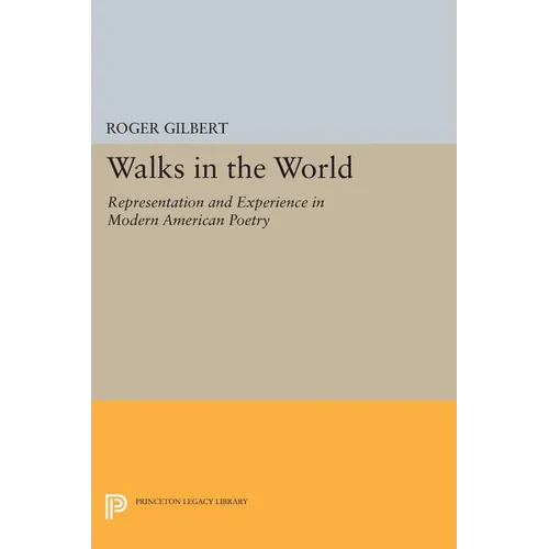 Walks in the World: Representation and Experience in Modern American Poetry - Paperback
