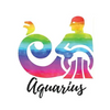 Aquarius: Grimoire Spell Casting, 150 pages, Design Rainbow - Paperback