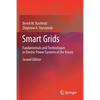 Smart Grids: Fundamentals and Technologies in Electric Power Systems of the Future - Paperback