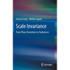 Scale Invariance: From Phase Transitions to Turbulence - Hardcover