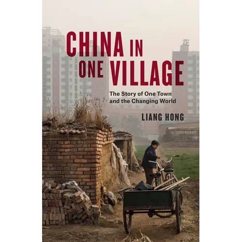 China in One Village: The Story of One Town and the Changing World - Hardcover