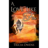 A Love Like Fire: High Fantasy M/M Romance - Paperback