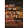 What Virtue There Is in Fire: Cultural Memory and the Lynching of Sam Hose - Paperback