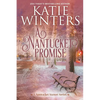 A Nantucket Promise - Paperback
